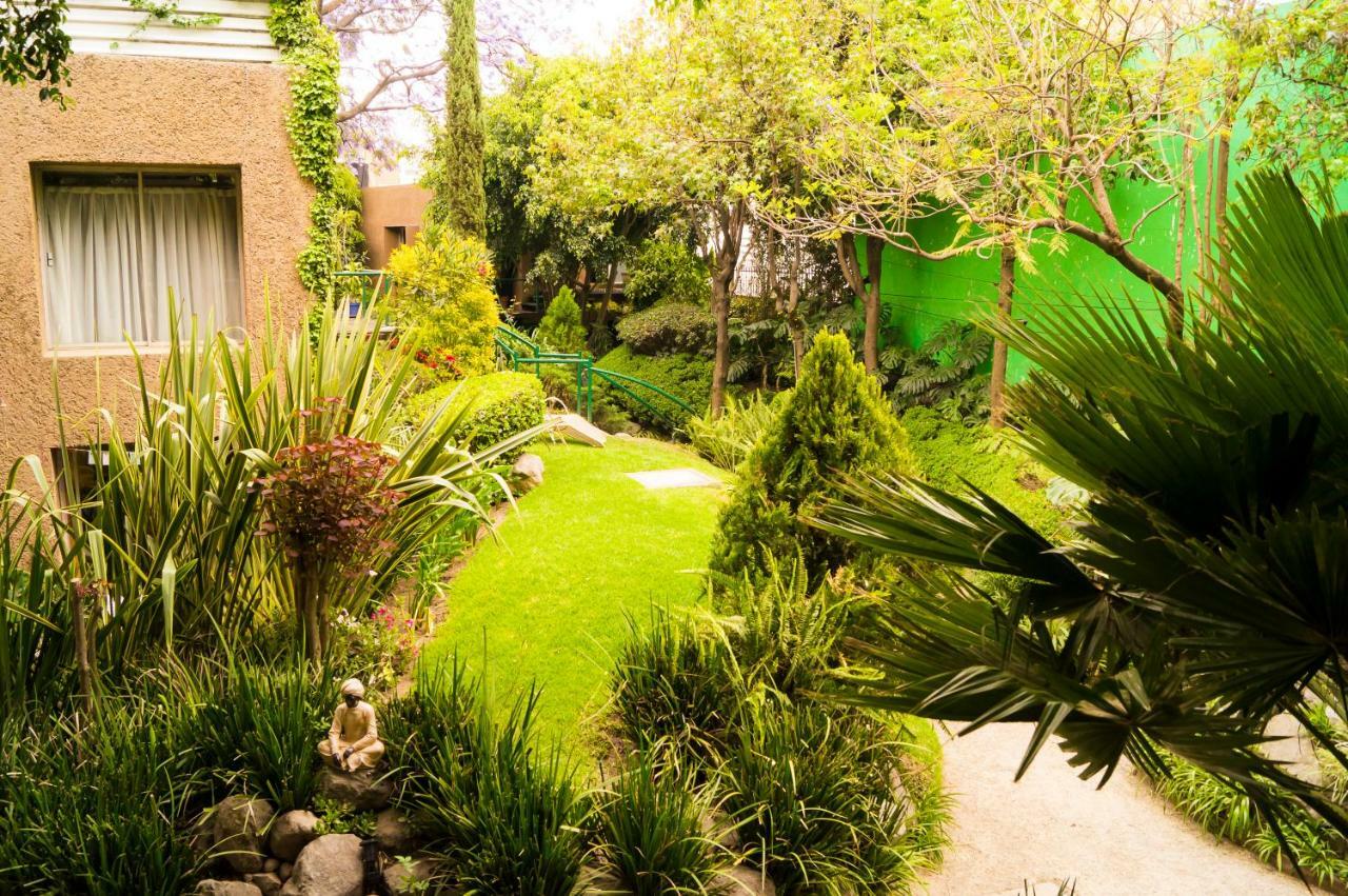 Suite 4A, Terraza, Garden House, Welcome to San Angel Cidade do México Exterior foto
